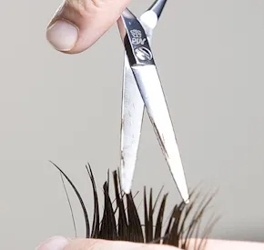 Scissors cutting hair